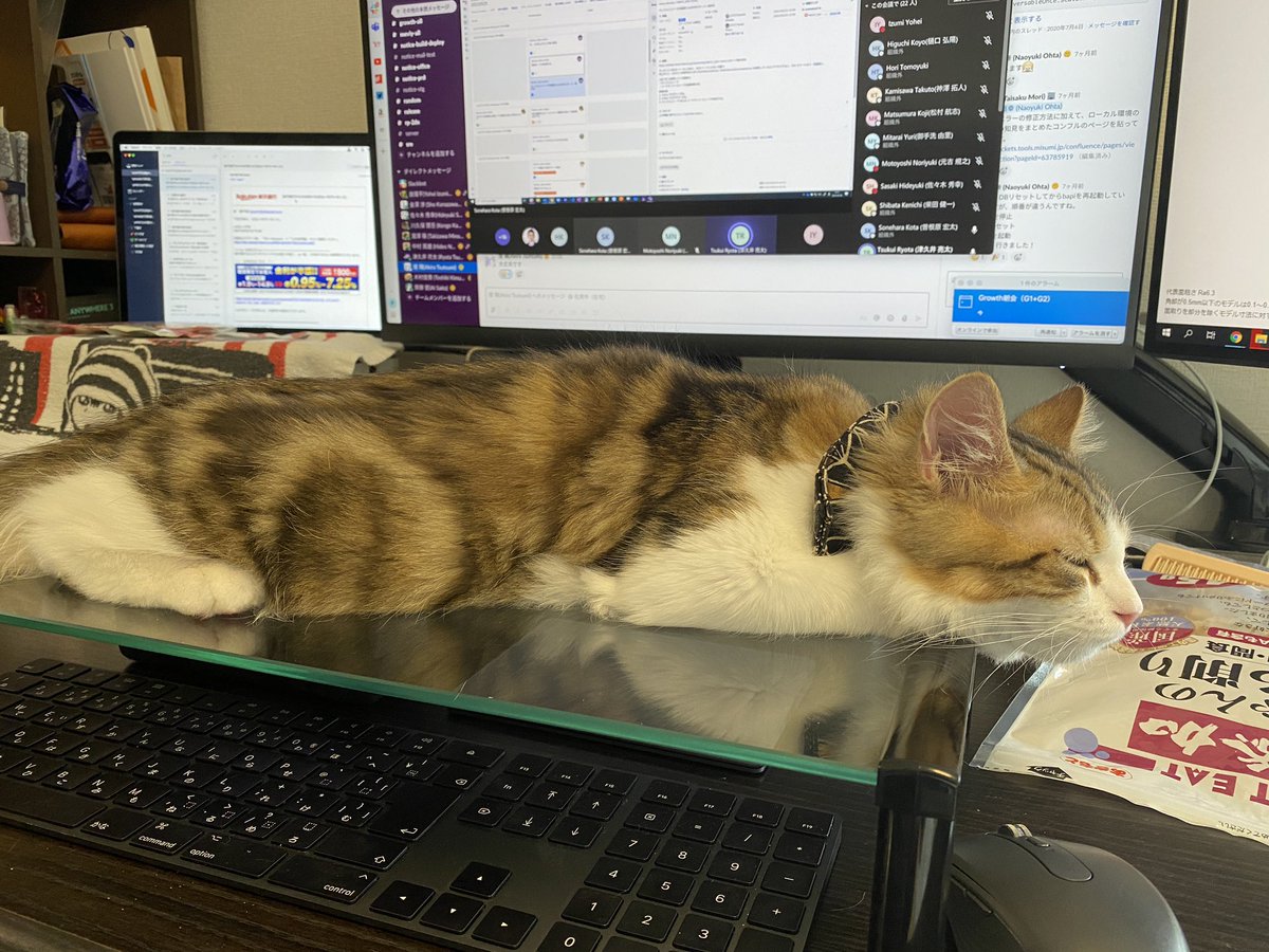 たまだん على تويتر 猫対策キーボード たまだん على تويتر 猫対策キーボード