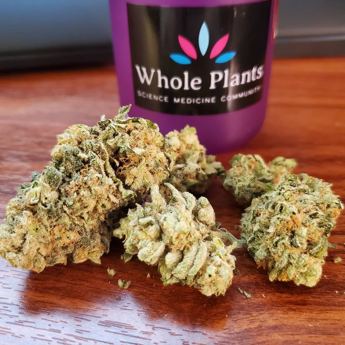 bud_ease_'s tweet photo. White Rhino 3.5g from #wholeplantshealth. This one is a winner. I've always loved White Rhino. It puts me where I need to be at the end of the night. Great pain reliever and sleep aide. #pacannabiscommunity #pamedicalmarijuana #pammjpatients #pammj #pammjreviews #pammjpatient https://t.co/PxRqI5cLWy