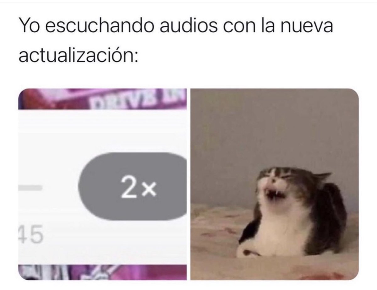 WhatsApp escuchó mis plegarias