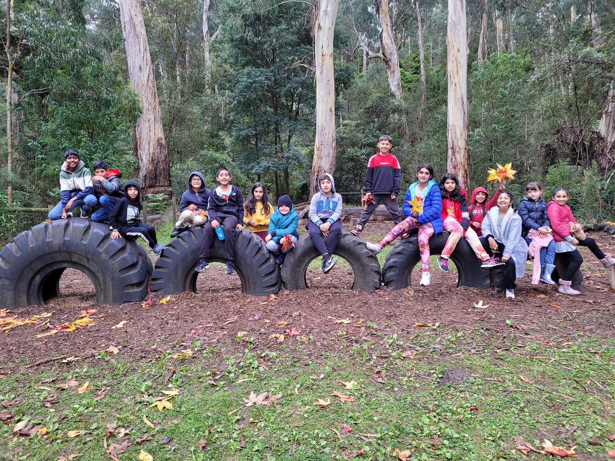 Miss_Shabo's tweet photo. The Snakes 🐍  @AitkenCreekPS https://t.co/EuRAfbSYSB