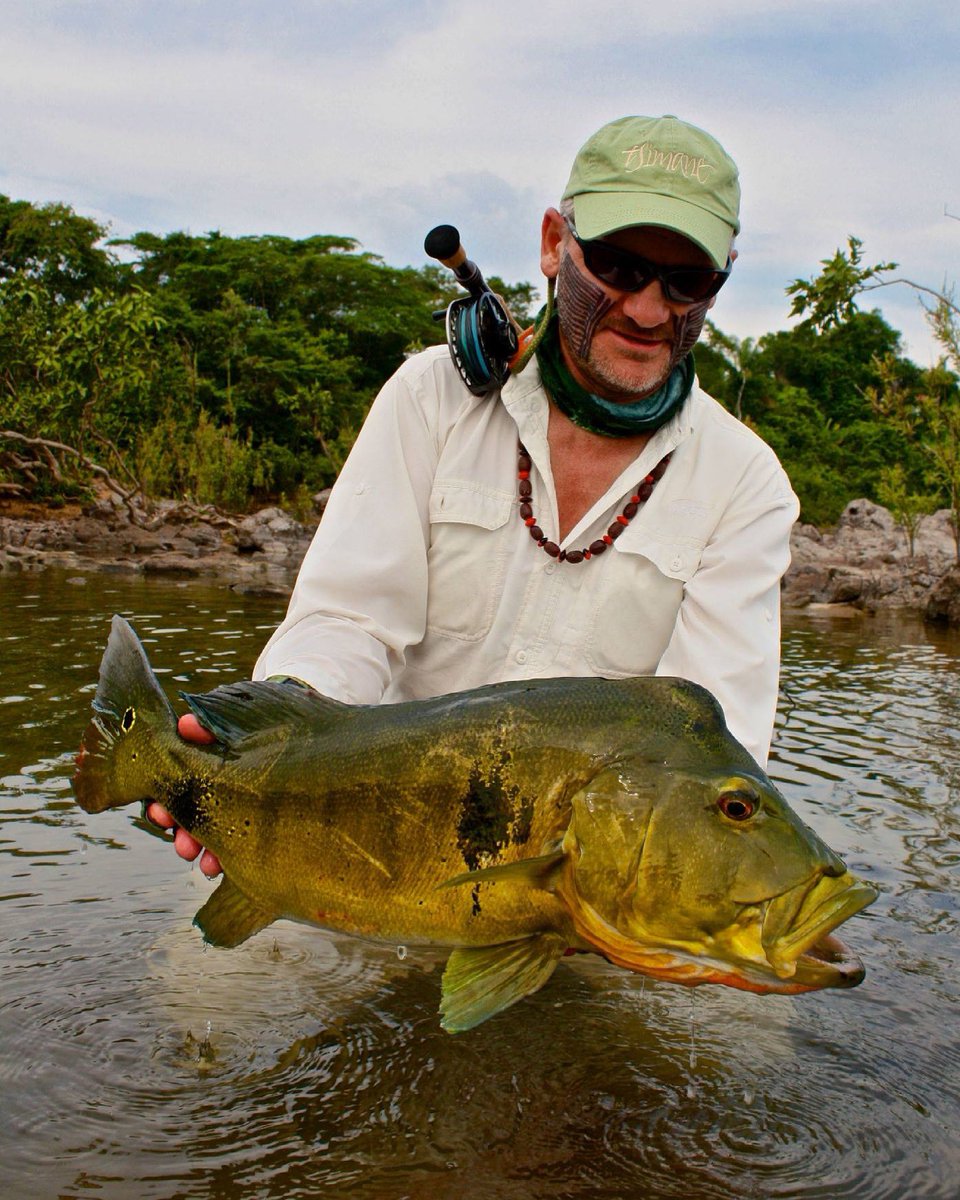 KendjamLodge's tweet photo. A beast of a peacock bass!
This hump-headed male was a big one for Marcelo (@jungleangler) several years ago.

#flyfishing #flyfish #jungleflyfishing #untamedangling #kendjamlodge https://t.co/lWaEgB57mp