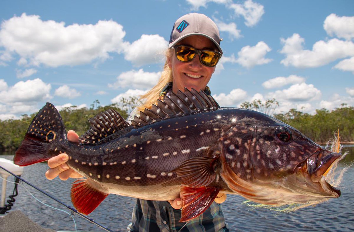 It's the final countdown!
Who's excited to come chase peacock bass at Rio Marie this season?!

Ph: Lucas De Zan
#flyfishing #flyfish #peacockbassonfly #peacockbass #untamedangling #riomarié #jungleflyfishing