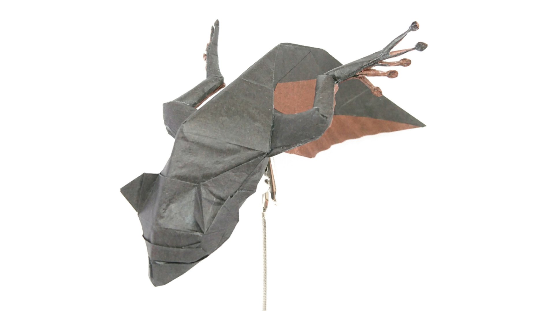 夜 Qiufengxiaolaji Twitter