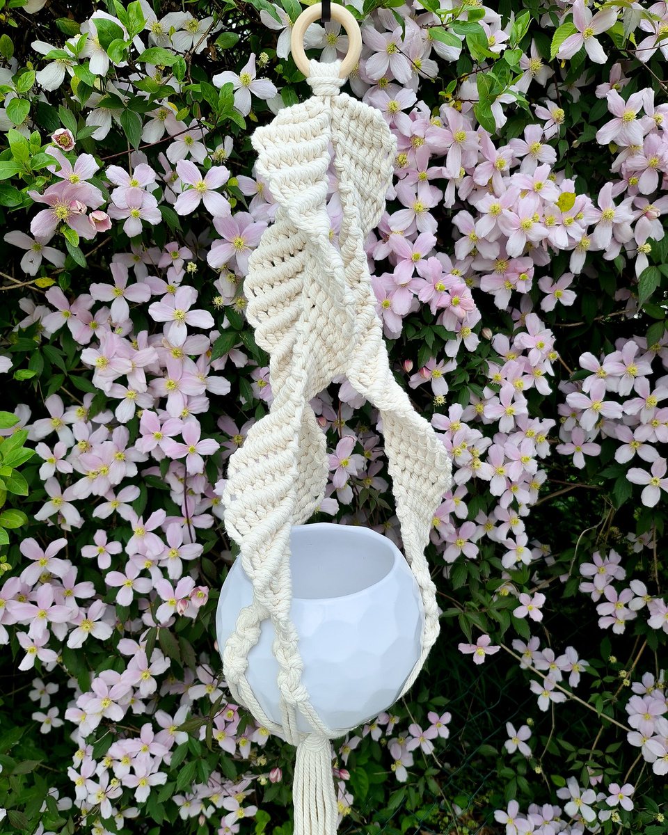 helloaeko's tweet photo. ☁️ Kumo plant hanger now online!
https://t.co/Zs3bYr3wtv
#planthanger #macrame #smallbusiness #handmade #plantsmakepeoplehappy #nature #flowers #blooms #plantlove #plantssparkjoy #pausewithplants #flauntyourleaves #plantsplantsplants #plantlove https://t.co/dGaCQilY8N