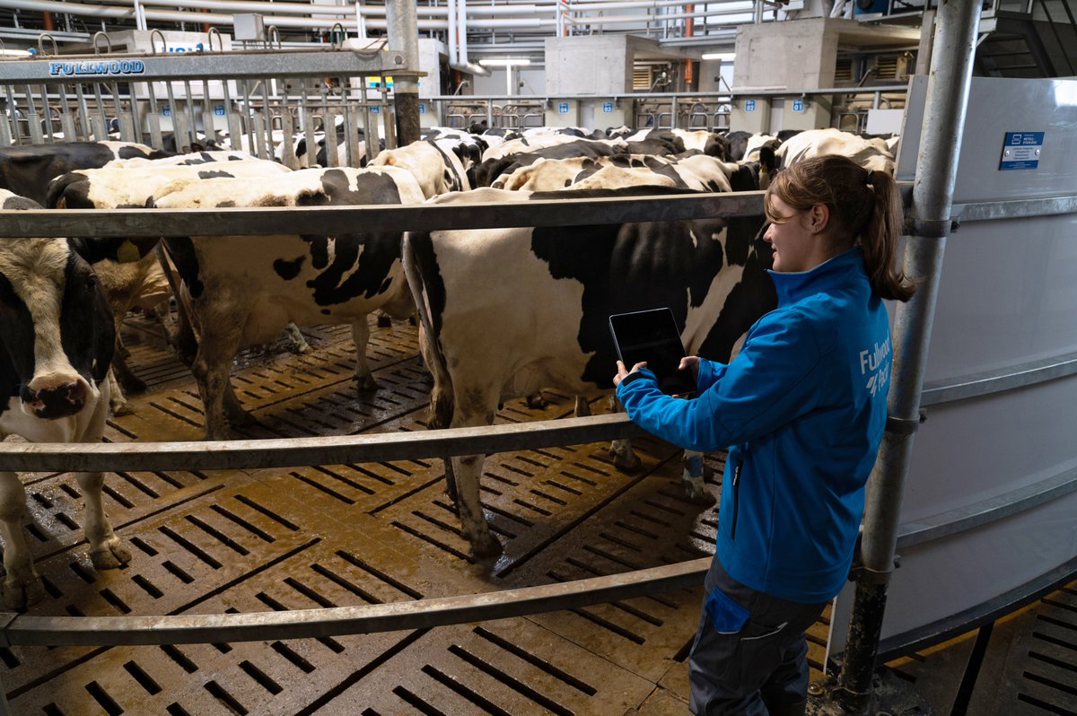 FullwoodPackoIE's tweet image. We believe your farm deserves the best. Achieve the #bestofboth improved cow comfort and maximum results with M²erlin Meridian 

#m2erlinmeridian #dairyfarming #dairy365 #roboticmilking

bit.ly/3fk0uyM