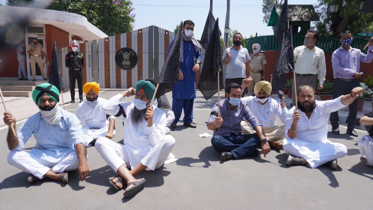 AAPPunjab's tweet photo. AAP Punjab Kisan wing president &amp; MLA Kotkapura @Sandhwan &amp; Youth wing president &amp; MLA Barnala, @meet_haye, along with the party workers are protesting outside the Guv's house by holding #BlackFlags in support of the farmers.

#6MonthsOfFarmersProtest 
#Black_Day_Of_Farmers https://t.co/9r25fhNRw2