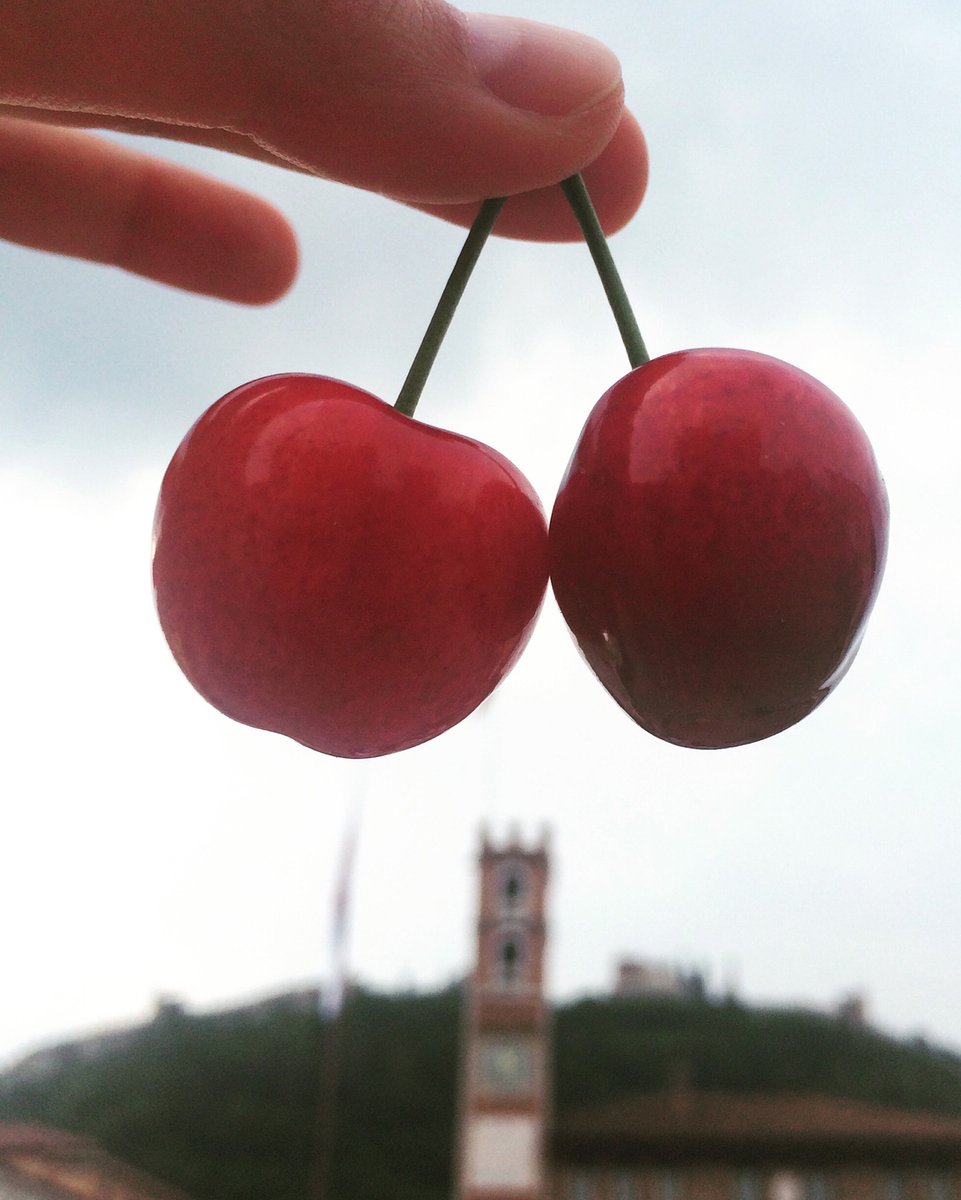 Tuesday Escapism this week: the Venetian town of Marostica during cherry season. 🍒

Which is NOW!!! 🍒💥🍒💥🍒💥

Marostica is a beautiful walled town in the Veneto. Besides its prized cherries, it’s famous for a live action chess game that takes place in the mai