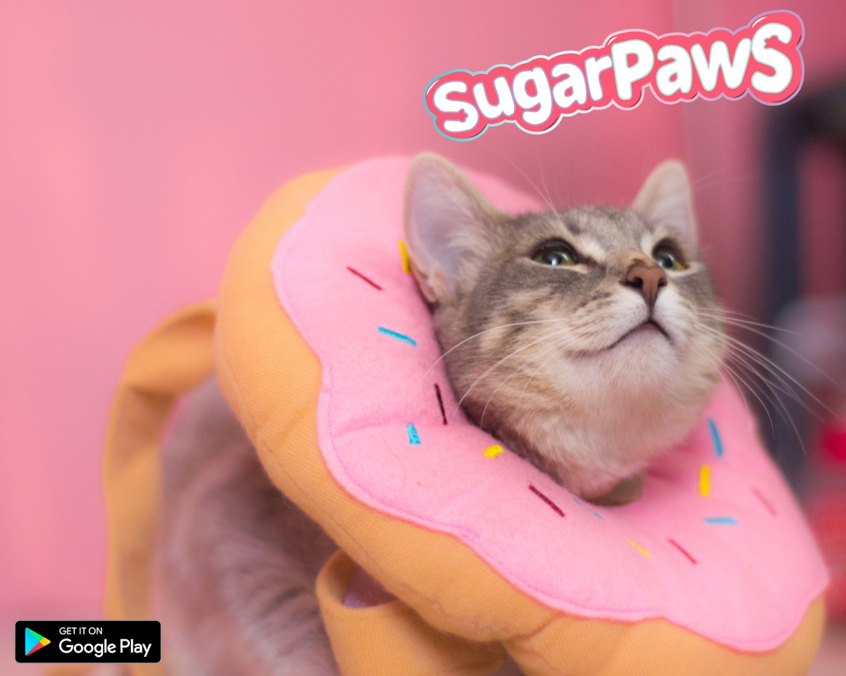 matrixcoreSTU's tweet photo. SugarPaws, the game of cute kittens fighting over desserts!!!

Play the beta version on Play Store.

Release very soon!

#고양이 #catgame #gameart #경기 #ネコ #mobilegame #mobilegames #귀여운 #디저트 #デザート #SugarPaws #Paws #catlovers #indiegame #gaming #playstore #videogame https://t.co/r2FzC3dUyQ