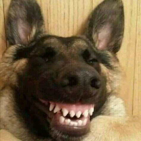 Mag_worldwide's tweet photo. @AdvoBarryRoux Witchcraft 😹😹 https://t.co/WEKMMBmpWr