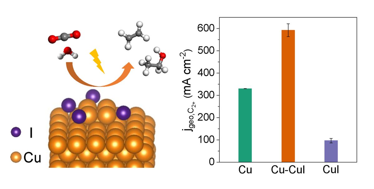 dicp_cas's tweet photo. New Catalyst Boosts Carbon Dioxide Electroreduction to Multicarbon Products.
@angew_chem
#CO2electroreduction #DICPResearchNews
Researchers from DICP designed a Cu-CuI composite catalyst, achieving efficient production of C2+ chemicals from CO2RR. https://t.co/cLuA0pG9cR https://t.co/SqudT6GgnH