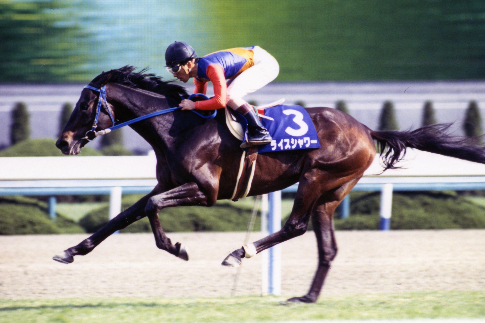 JRA-VAN公式 on X: JRA-VAN公式 on X: