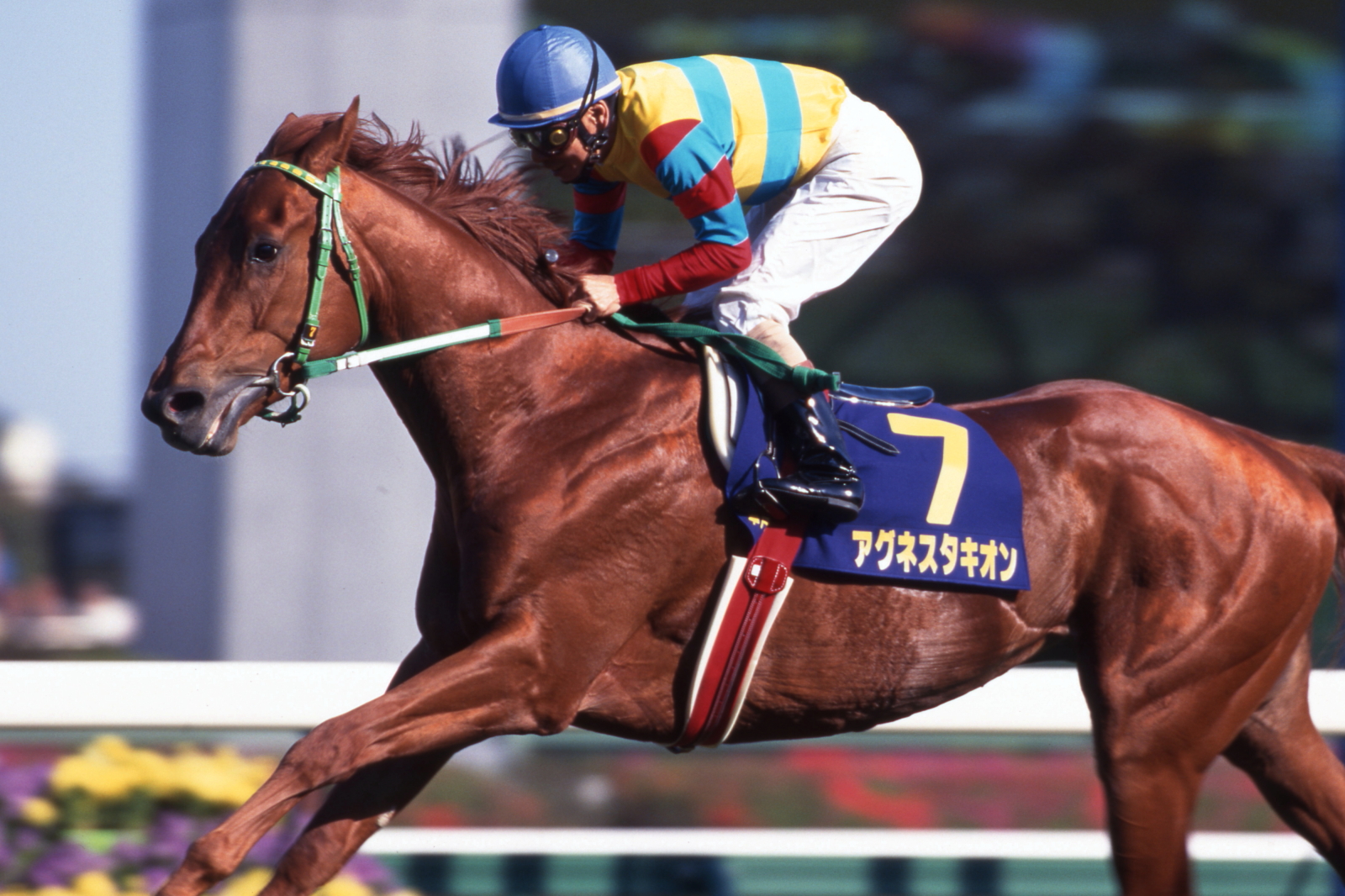 JRA-VAN公式 on X: JRA-VAN公式 on X: