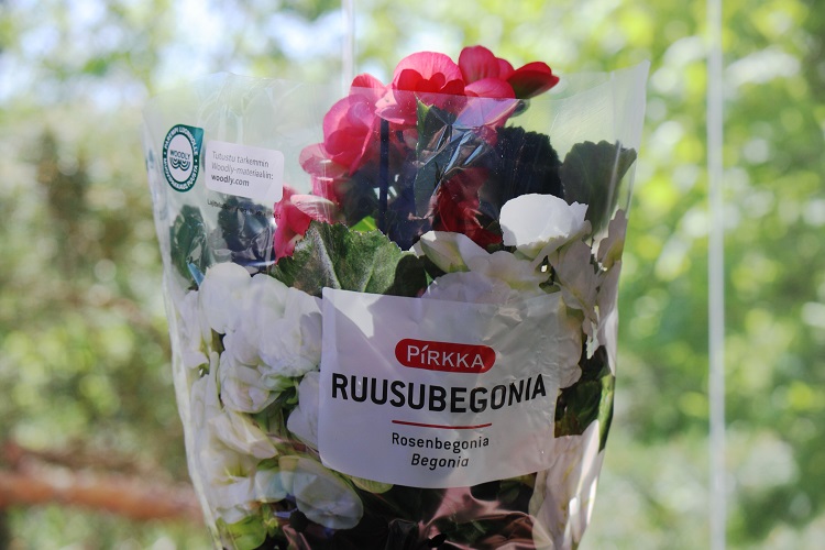 Pirkka ruusubegoniat saivat puupohjaisen muovikääreen!🌸 ’’K-ryhmä oli ensimmäinen toimija, joka toi Woodlyn kuluttajien saataville Pirkka ruusubegonian pakkauksissa’’, @woodlymaterial toimitusjohtaja Jaakko Kaminen kertoo Näkökulma-blogissamme. bit.ly/3uopw42 @PirkkaFi