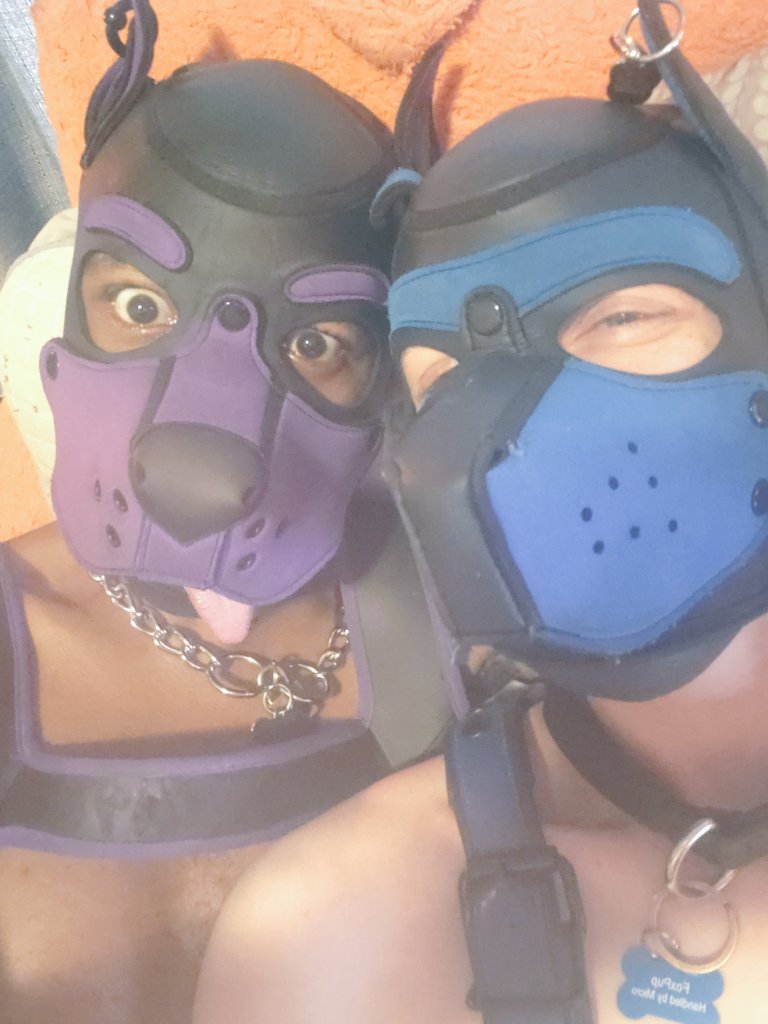 HeavenHell420's tweet photo. We will be headed out to X Bar in #Denver #Colorado if anyone is around and wants to join us. Otherwise if your headed there, watch for @pup_ixnay and @FoxpupRay
#pupixnay #foxpupray #heaven #heavenandhellpups #puplesque #gaymoors #jackyl https://t.co/ok8DM8QgQk