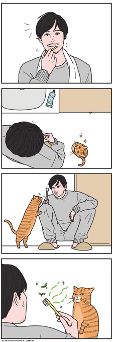 猫から近づいてきたのに、嫌な顔をされることもある 