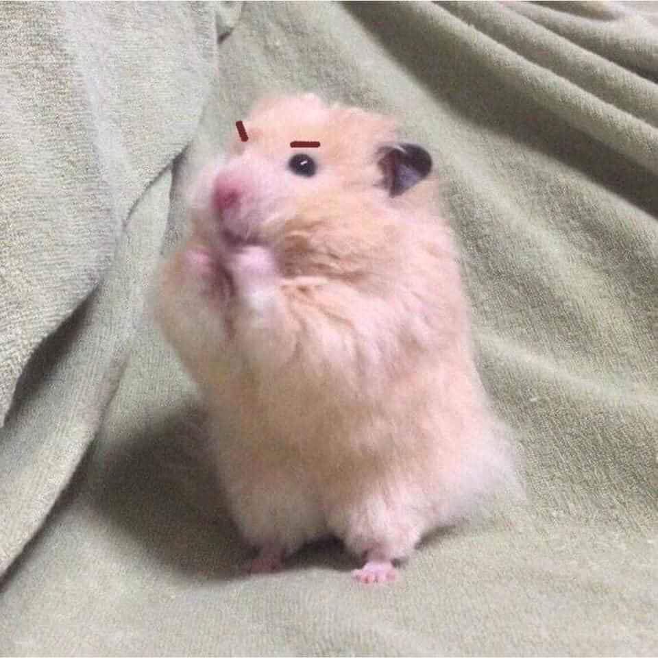 ทำได้แล้ววววว ติดแล้วนะจจ. เก่งมากเจ้าอ้วร!