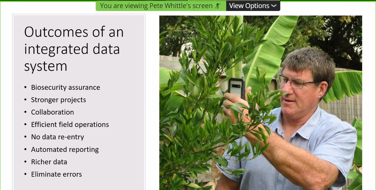 Australasian Plant Pathology Society QLD (@qldapps) on Twitter photo Dr Peter Whittle discusses AgKonect: A customisable smartphone app for rapid and accurate data collection. Currently used by the Aus avocado and banana industry for biosecurity pest & disease surveys!
#plantpathology <a href="/Plant_Pathogens/">Plant Pathogens (APPS)</a> <a href="/QAAFI/">QLD Alliance for Agriculture & Food Innovation</a> Dr Peter Whittle discusses AgKonect: A customisable smartphone app for rapid and accurate data collection. Currently used by the Aus avocado and banana industry for biosecurity pest & disease surveys!
#plantpathology <a href="/Plant_Pathogens/">Plant Pathogens (APPS)</a> <a href="/QAAFI/">QLD Alliance for Agriculture & Food Innovation</a>