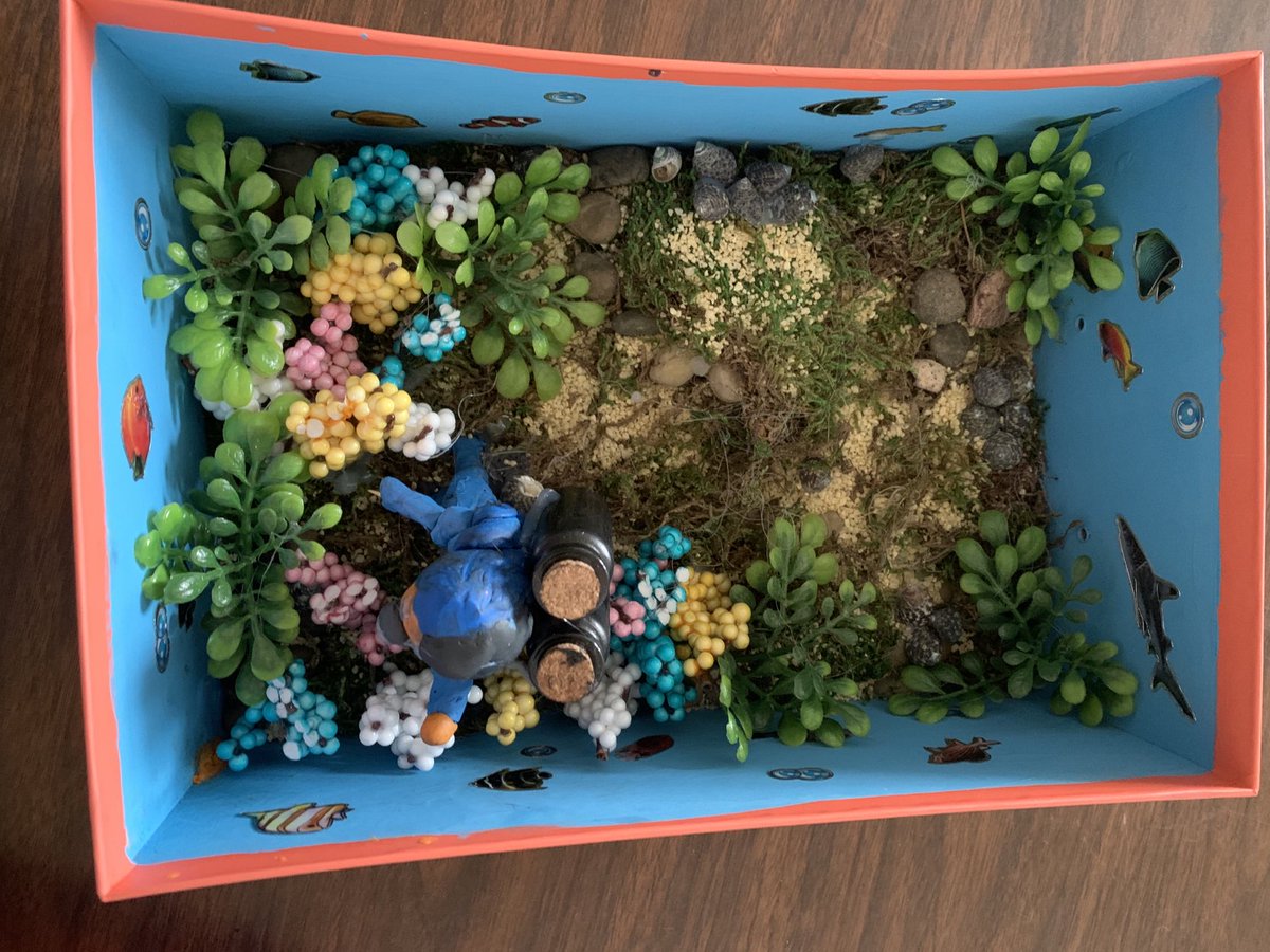 aashliecook's tweet photo. My grade 4’s are also blowing my mind with all their different biome dioramas #homeboundlearning https://t.co/7FaJBUnTC2