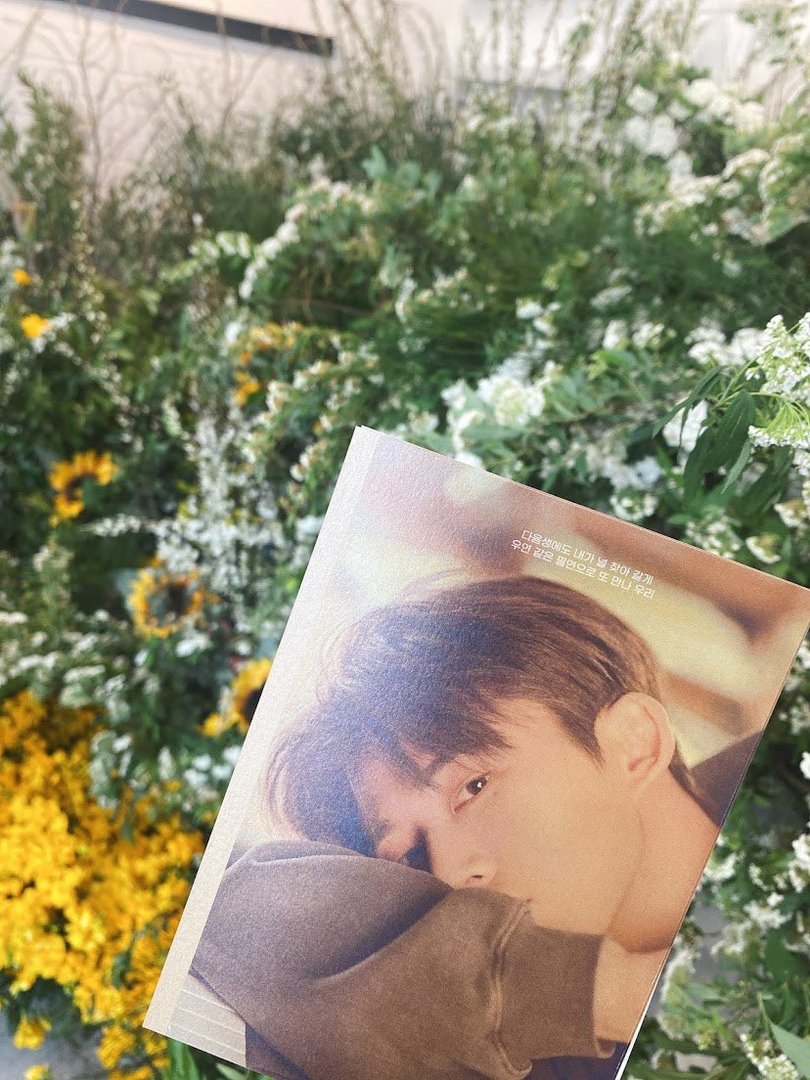 neocityzip's tweet photo. Not me creyéndome el cottage core king con el #ReBIrthSTREAM que llegó a mis garritas y que hasta me ha hecho componer poemas con el #DearID al inicio de todos. Spoiler: mis escritos fake poetas van dedicados a mi amor por esta canción. Dulces sueños para mí con esta joyita. 💤 https://t.co/HsnWj8EfLf