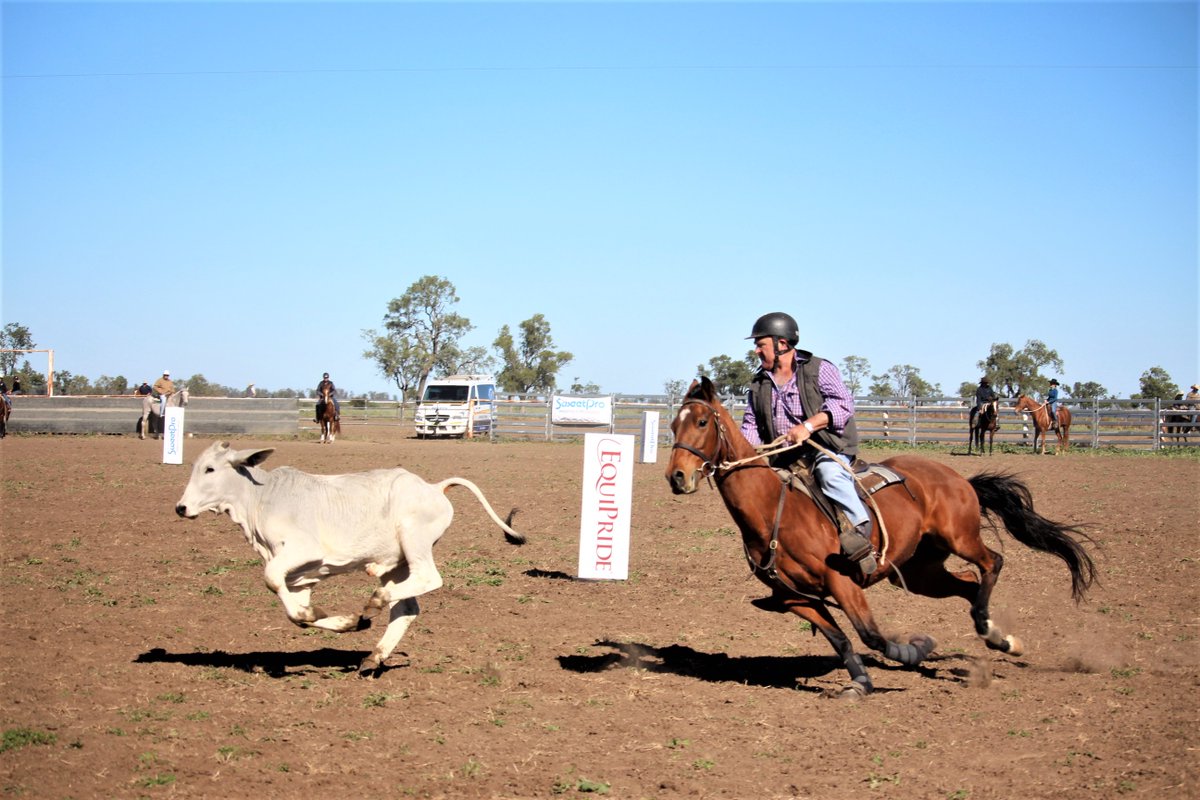 SweetProAus's tweet image. Thanks for having us as your major sponsor Come By Chance! Such an organised and well run campdraft. We can’t wait to be back next year #comebychance #campdraftaus #sweetpro #abcra #equilix #equipride