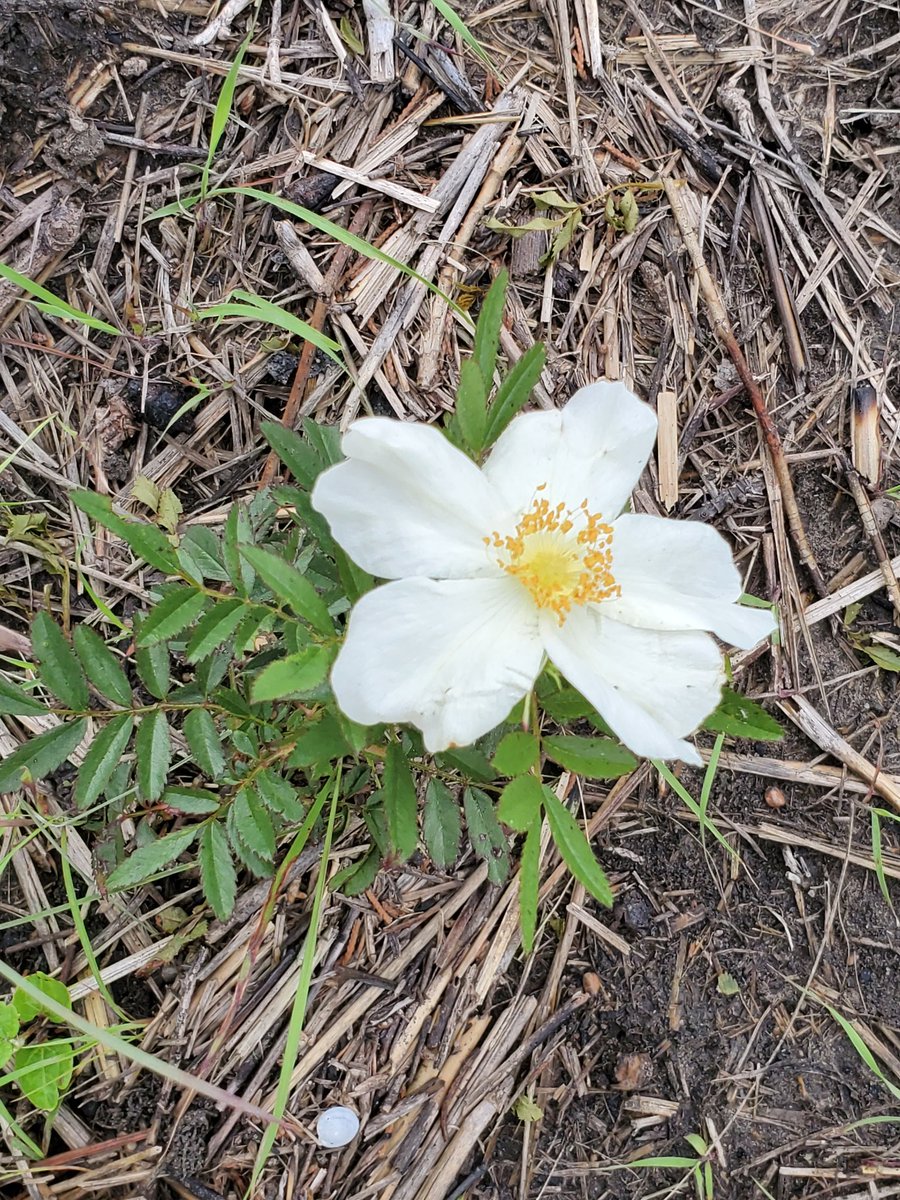 don909tiny's tweet image. 