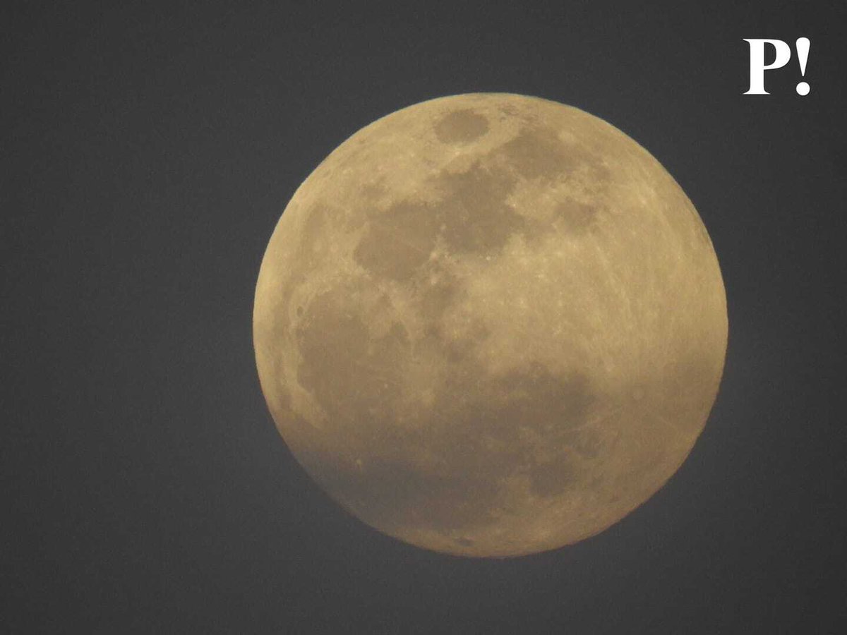 📸 #Fotogalería | ¡Impresionante! 🤩

Así se pudo apreciar esta noche la Superluna de las Flores desde #Chetumal, una de las más grandes y luminosas de este 2021 🌕

Más detalles: bit.ly/3hUbVzc