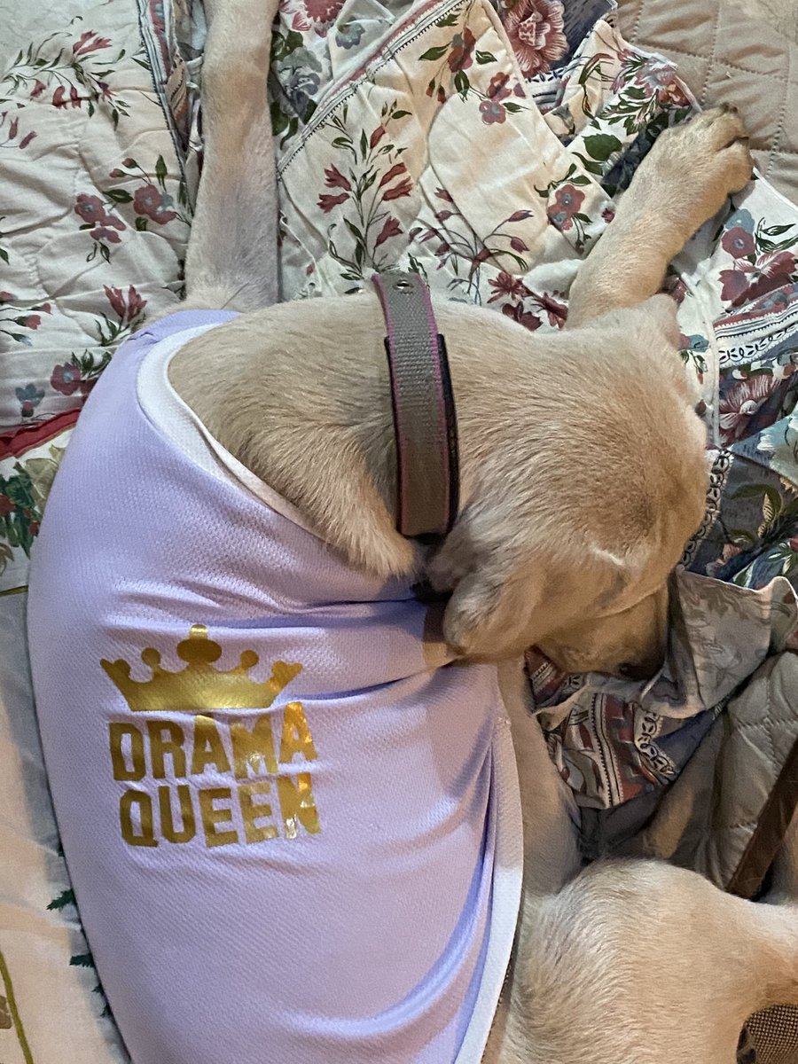 BellaExplora's tweet image. Daddy thinks I’m a drama queen… 🙄😊