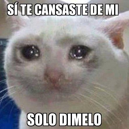 culisuelta04's tweet photo. cndo solo hablas con una persona y no te responde al segundo https://t.co/tw57Rt0oca