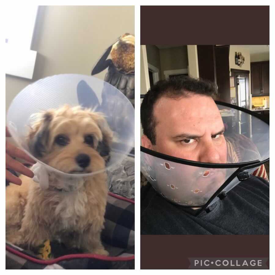 realrdiddy's tweet photo. Like father like son. Myself a couple of years ago him today. I feel your pain Rigg! #ruffweek #tinktinkinapan https://t.co/jrAyBuZs9I