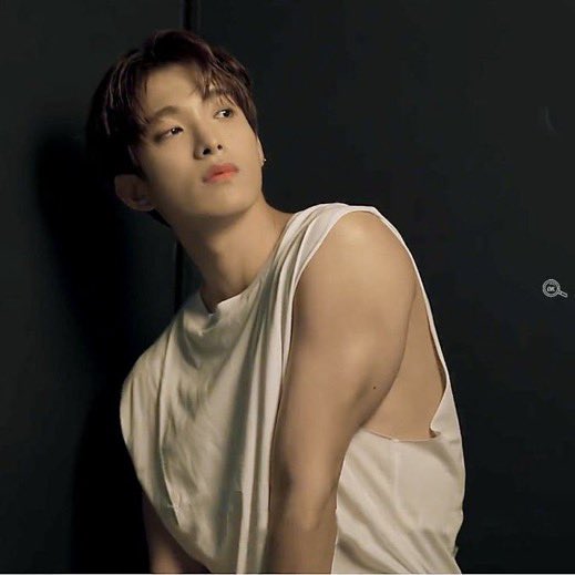 49. SEVENTEEN DK🥵🥵🥵