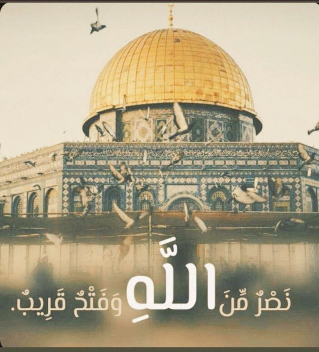 Raef71456977's tweet photo. اللهم منزل الكتاب ومجري السحاب وهازم الاحزاب اهزم الصهاينة شر هزيمة واجعلهم عبرة وعظة لغيرهم .
 حسبنا الله ونعم الوكيل https://t.co/oamsv0iWRw