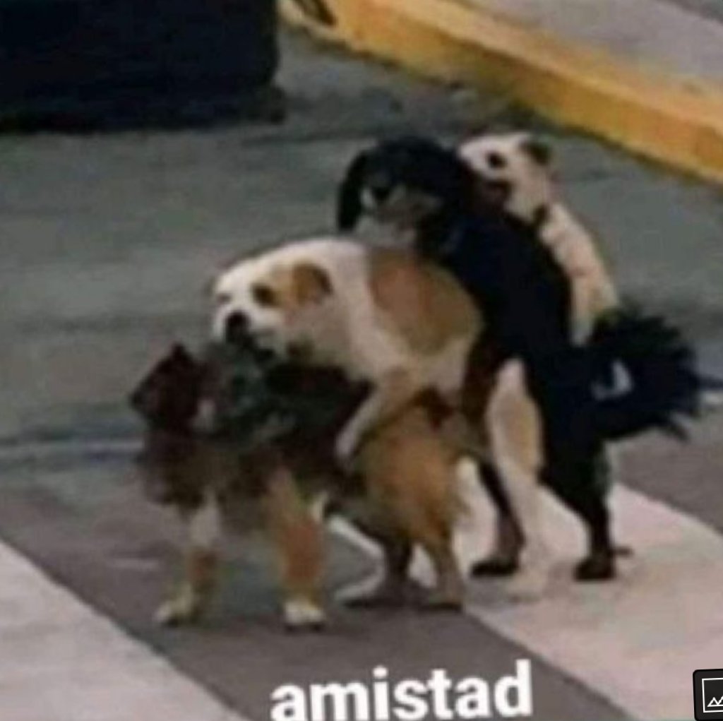 0PeruEstudios's tweet photo. @LasEras5 Aré muchas amistades 😏👌 https://t.co/DVDoQ4HbM5