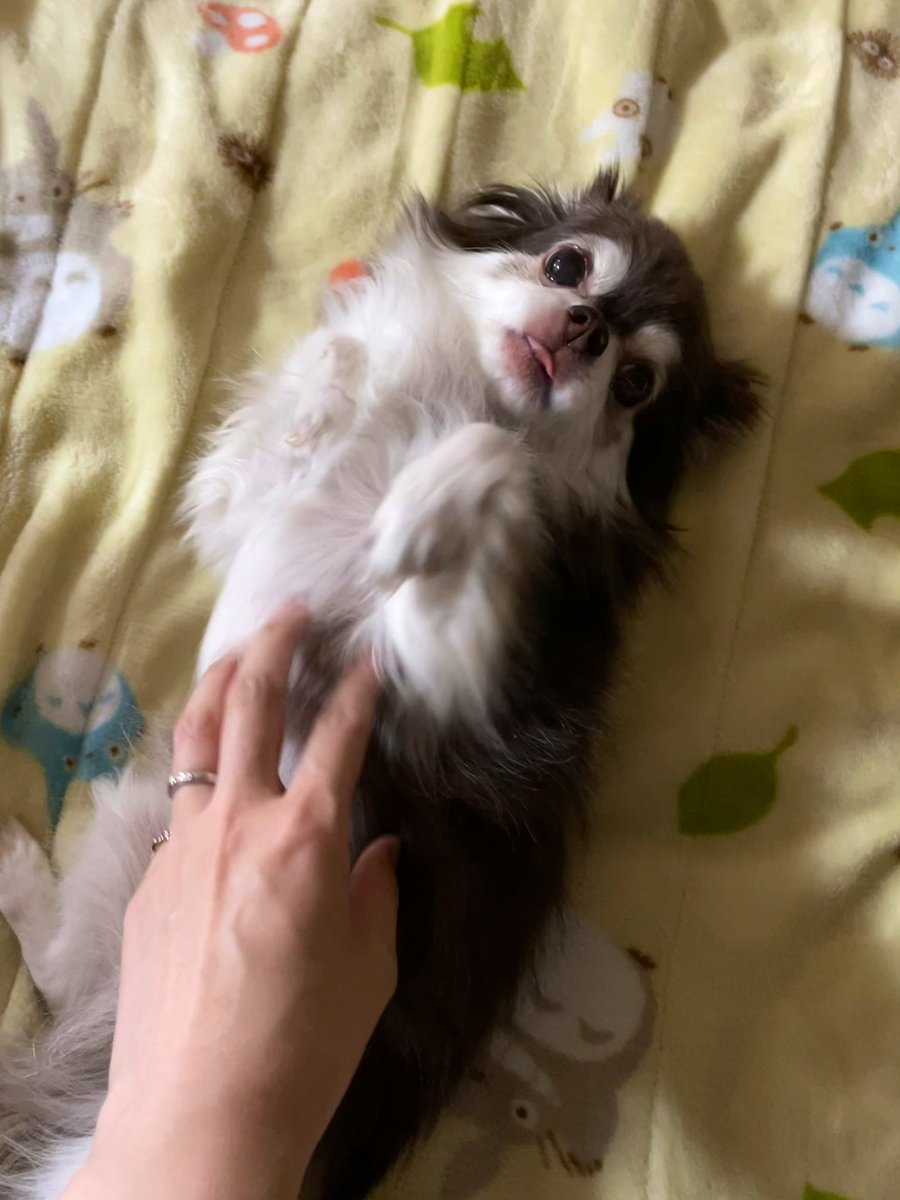 茂呂おりえ Oriexyz Twitter