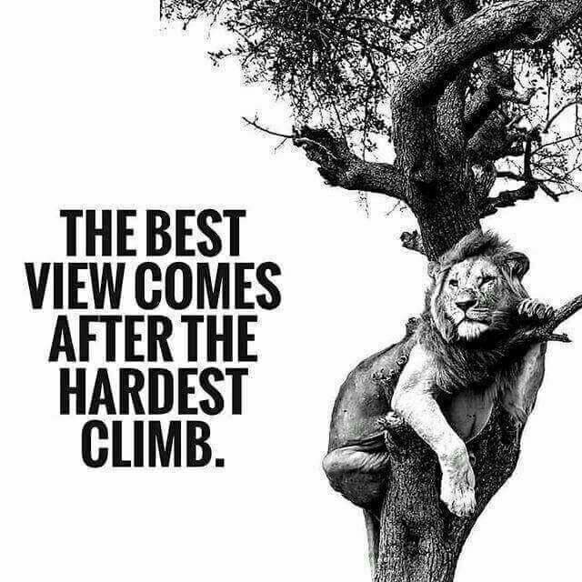 ajmlmrd's tweet photo. https://t.co/4vRUKXWdI0