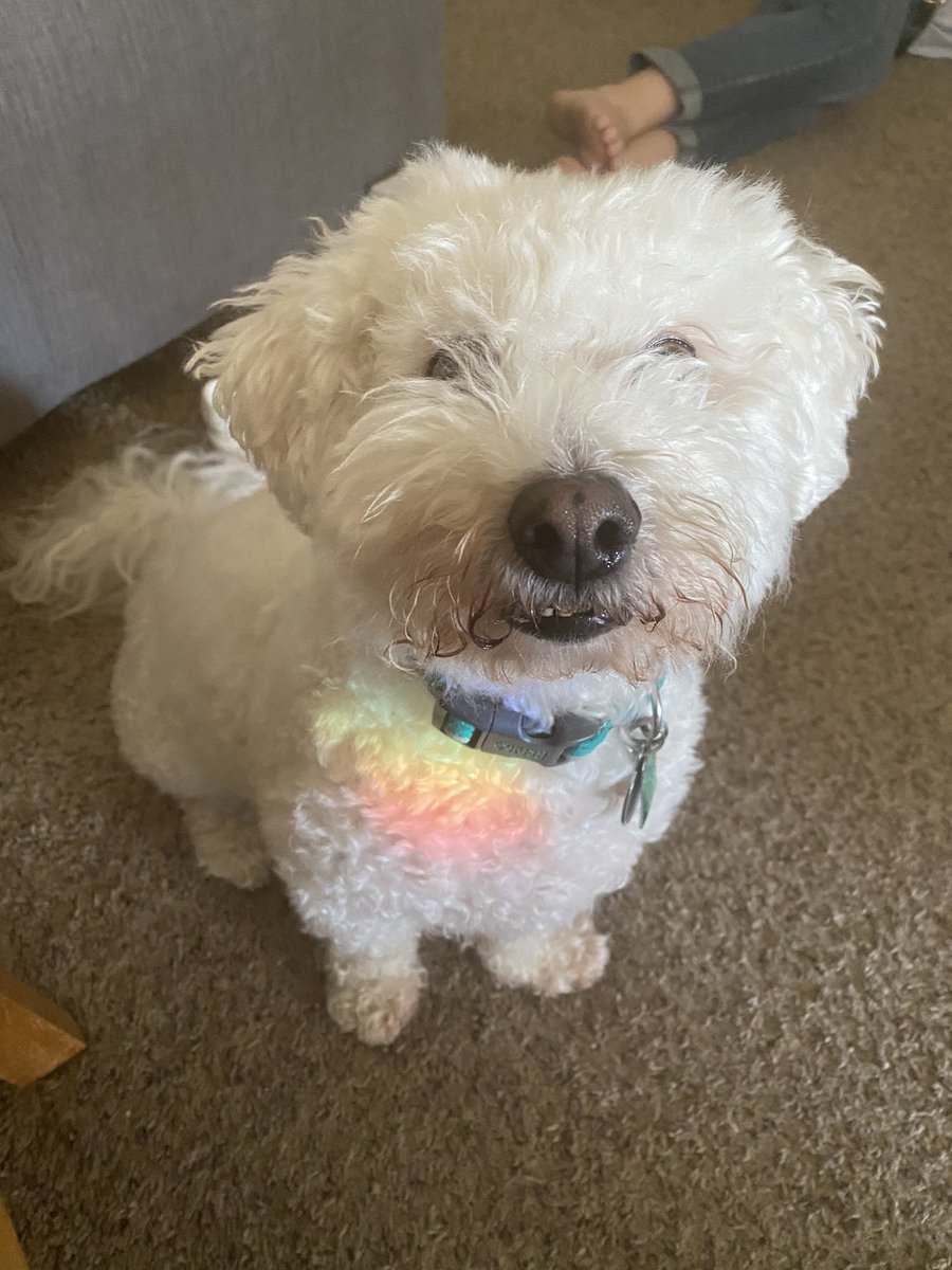 bananhann's tweet photo. @bearcatson 💕💜🌈 https://t.co/cgQQvRDp4L