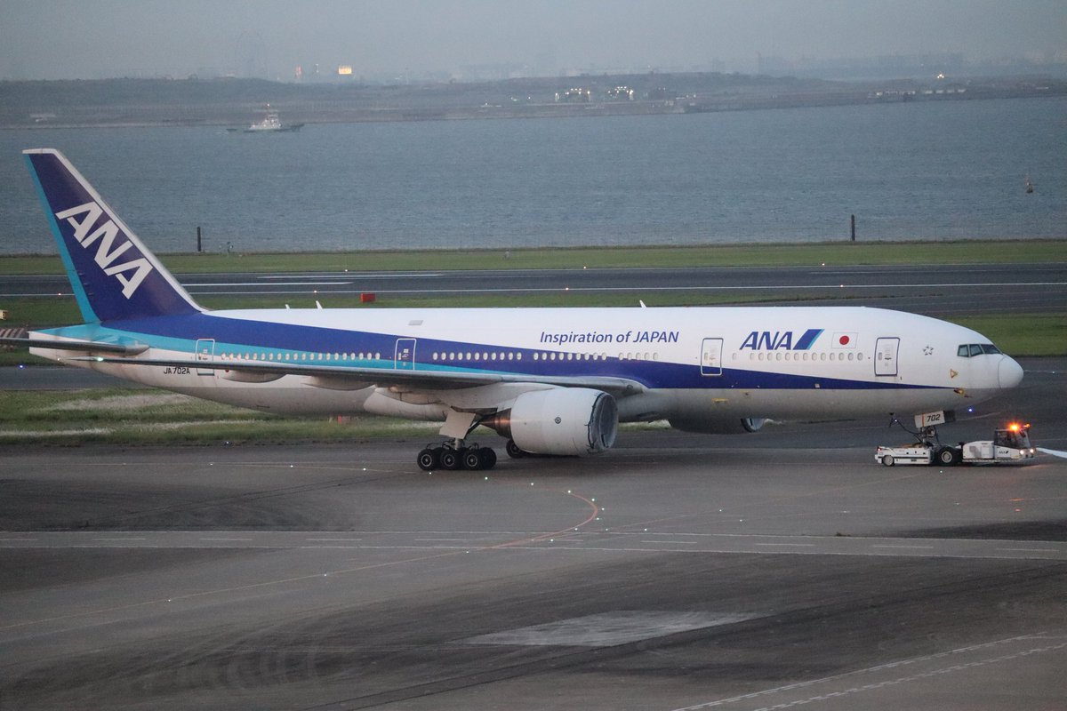 natsumi_787's tweet photo. 昨日、JA702Aがトーイングされてました。
ここのところ、トリプルの姿見ただけでウルッときてしまう😭😭
#ANA
#JA702A https://t.co/IyQ3gT1NX8