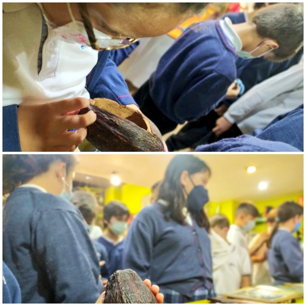 fecmips's tweet photo. SABOREANDO LA SOLIDARIDAD
🍫🍫🍫🍫🍫🍫
Nuestros chicos de #CuartoEP visitaron "La Tenda de Tot el Món", un establecimiento muy conocido de nuestra localidad que defiende el #ComercioJusto como alternativa de comercio sostenible y responsable.
#chocolateros @colegiosfec https://t.co/Ue768hoxQK
