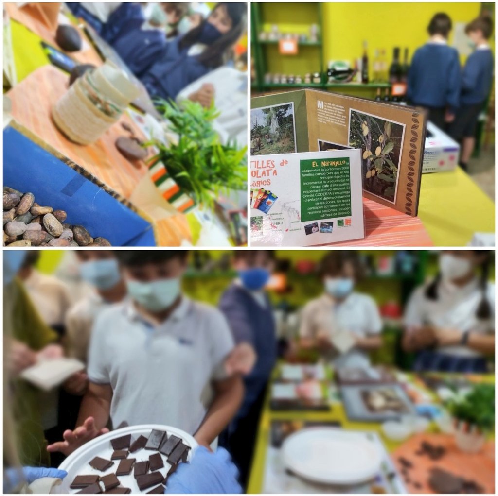 fecmips's tweet photo. SABOREANDO LA SOLIDARIDAD
🍫🍫🍫🍫🍫🍫
Nuestros chicos de #CuartoEP visitaron "La Tenda de Tot el Món", un establecimiento muy conocido de nuestra localidad que defiende el #ComercioJusto como alternativa de comercio sostenible y responsable.
#chocolateros @colegiosfec https://t.co/Ue768hoxQK