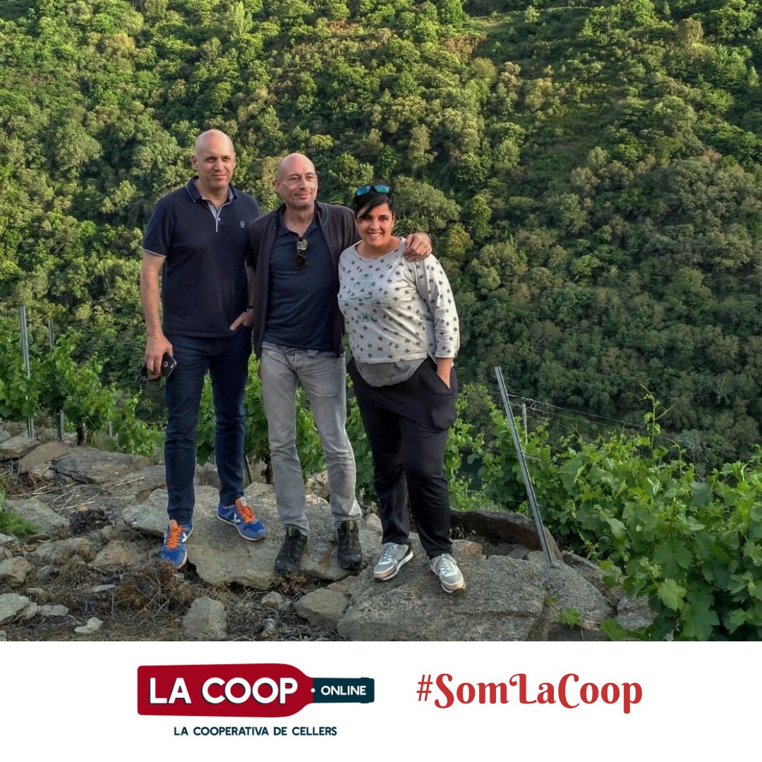 LaCoop.online (@lacooponline) on Twitter photo 💯Tolo do Xisto,“boig per la pissarra”, el gran esforç i l’amor per la terra necessaris per elaborar vins a la #RibeiraSacra
👉<a href="/tolodoxistowine/">Adega Tolo do Xisto</a> són vins de Mencía de vinyes velles, caràcter atlàntic i essència Ribeira.
Viu-la a #LaCoopOnline i #LaCoopBCN lacoop.online/tolo-do-xisto/ 💯Tolo do Xisto,“boig per la pissarra”, el gran esforç i l’amor per la terra necessaris per elaborar vins a la #RibeiraSacra
👉<a href="/tolodoxistowine/">Adega Tolo do Xisto</a> són vins de Mencía de vinyes velles, caràcter atlàntic i essència Ribeira.
Viu-la a #LaCoopOnline i #LaCoopBCN lacoop.online/tolo-do-xisto/