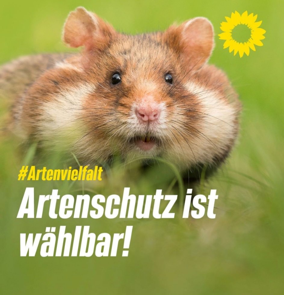 Bei dem Bild von <a href="/Die_Gruenen/">BÜNDNIS 90/DIE GRÜNEN</a> denke ich irgendwie mehr an Nebeneinkünften von <a href="/GrueneBundestag/">Grüne im Bundestag 🇪🇺🏳️‍🌈</a> als an #Artenschutz 
#Gruene #steuern #baerbockverhindern #cemOEzdemir