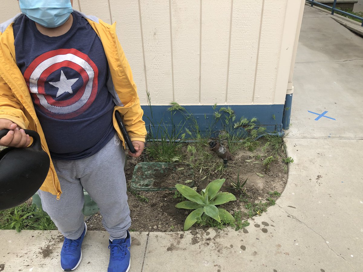 mlam_mandy's tweet photo. Learning about plant needs, different succulents, and making our school more beautiful all at the same time with Mrs. Curtis. We also learned that roots can grow out of stems. Who knew?? https://t.co/q3VLLGL6iu