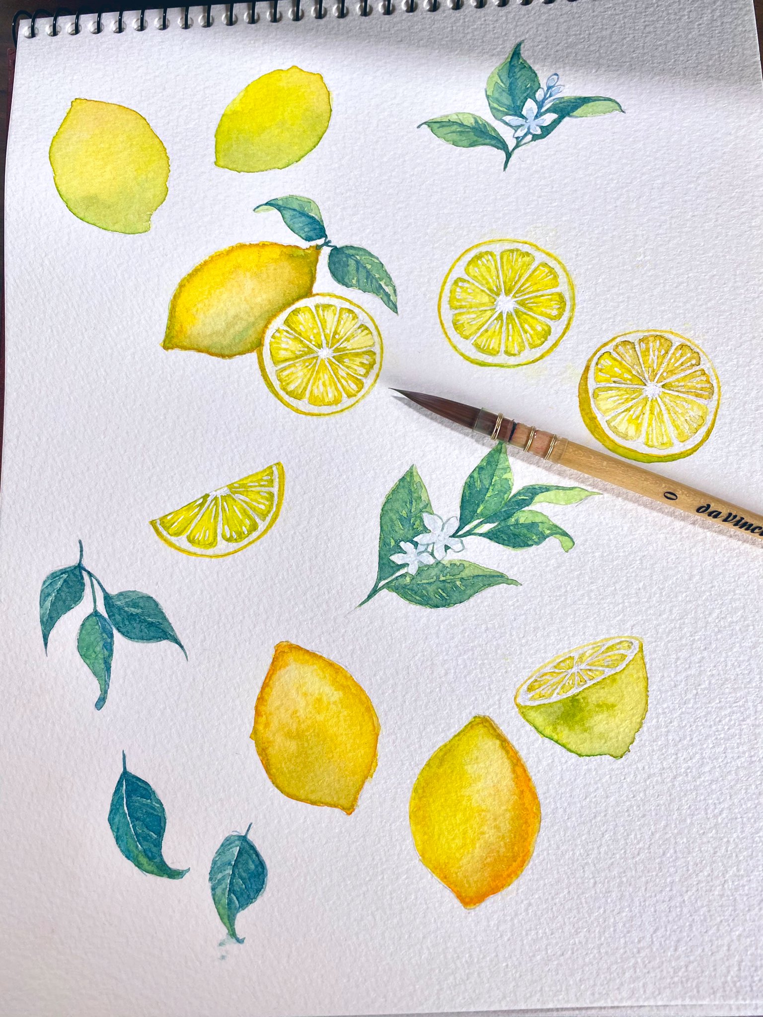 キリシマソウ 出来ました レモン可愛い しかし色鉛筆を紛失してて買い直すか悩む いる いらんことないけど使うのか という葛藤 T Co F0s3xatic8 Twitter