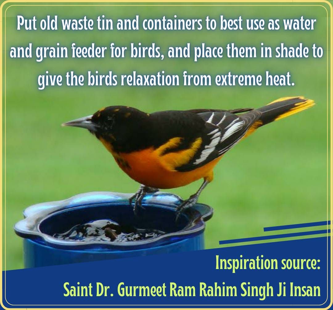 Anjalisethi61's tweet photo. To #FeedAndSaveBirds Keep grains and water on rooftops and balconies for them to eat and in return, enjoy God's blessings. Millions of @derasachasauda followers feed the birds with the inspiration and guidance of Saint Dr. @Gurmeetramrahim Ji. https://t.co/SW5Lln4XPz