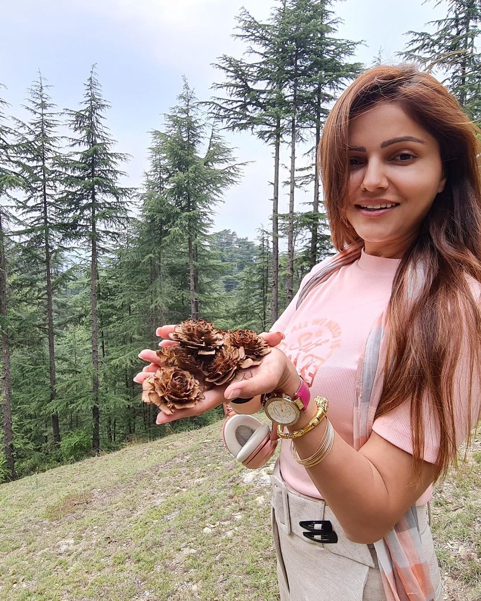bollywood_life's tweet photo. #RubinaDilaik ditches 'big brands' for Shimla's 'jungle jewels' https://t.co/MPkMLmts6T