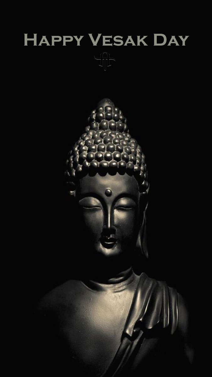 More Than Hellena tweet media