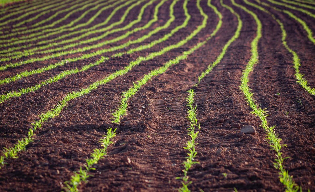 RGS_IBGschools's tweet photo. What is the bioeconomy? Professor Dan Parsons @bedform explains how we can take value from, and assign it to, our landscape.
Listen to our latest podcast 🎧 covering food security, flooding, biowaste and the THYME partnership with @UniOfYork @TeessideUni https://t.co/VIY9CFeab4 https://t.co/QppHgKO0bH