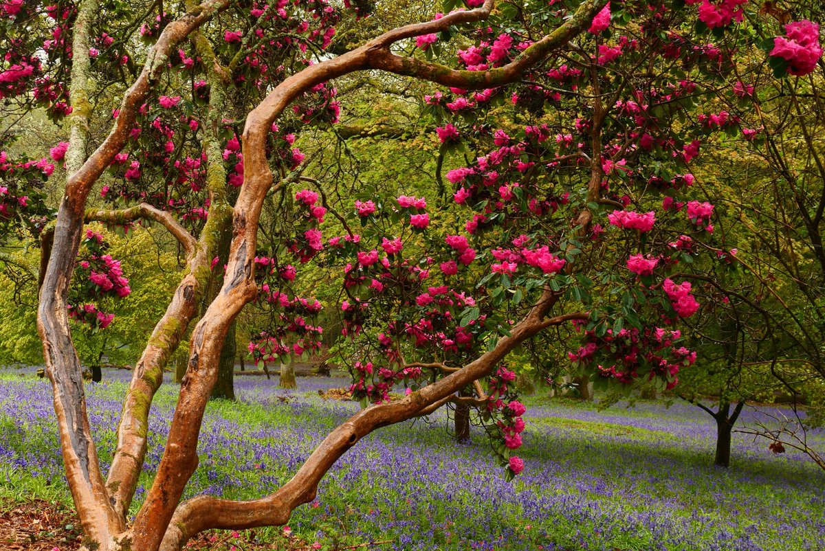 National Trust tweet media