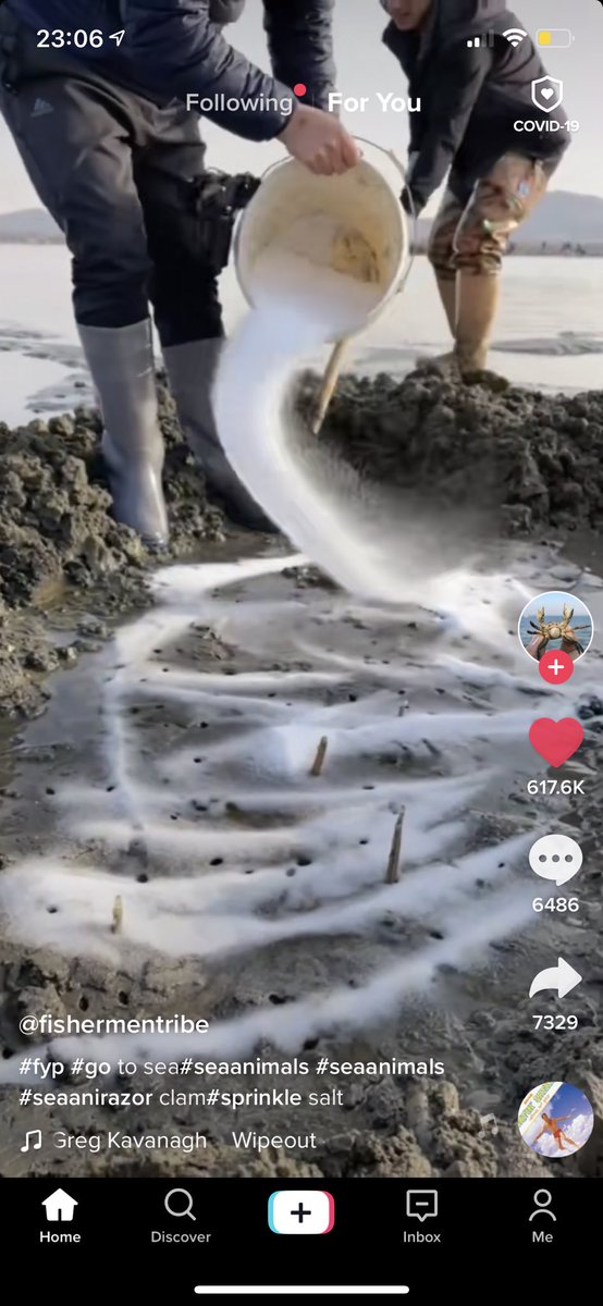Tik tok screenshot of clam harvesting