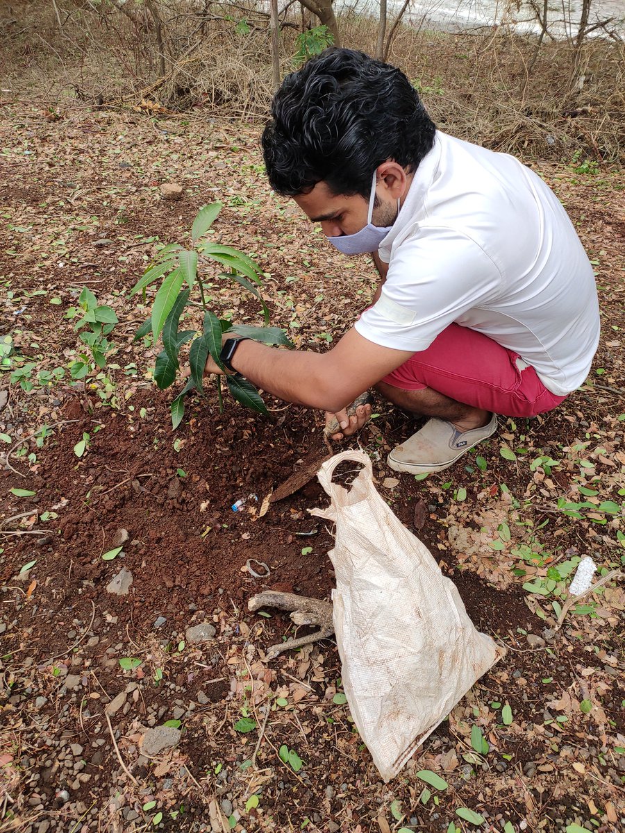 dharmeshbarai's tweet photo. Many people wanted to thank real hero @SonuSood ji with pouring milk, sending bouquet, traveling his home to touch his feat etc.
#Sonu sir please urge your fans, well-wishers instead doing all, please plant 1 tree and take care till grow.
This will help for generations.
@mybmc https://t.co/oFq6rBWJ38