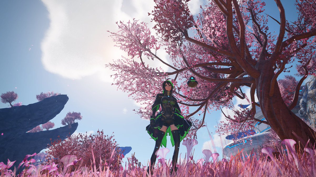 ZNRenova's tweet photo. Here's some more screenshots from the Global CBT! <3
#PSO2NGS #PSO2 #PSO2_SS #PSO2NGSCBT #PSO2NGSglobal https://t.co/Xvi5OgZue7